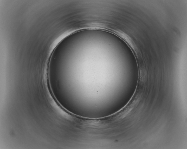 X0000114691387200910211303