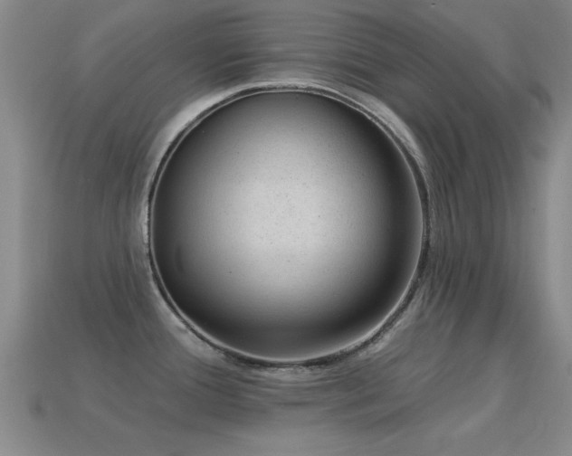 X0000114691388200910211303