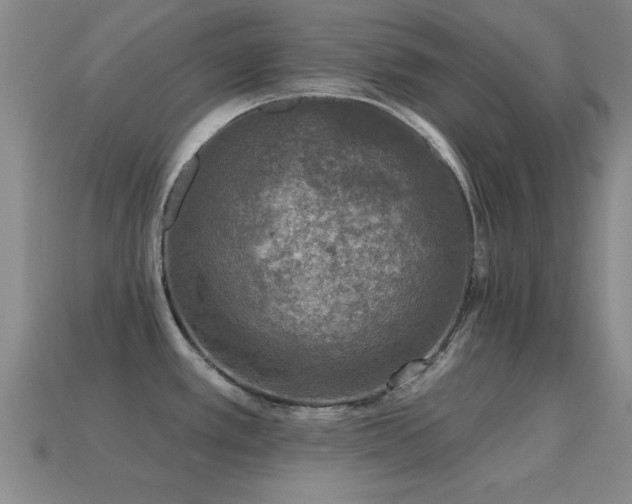 X0000114691389200910211303