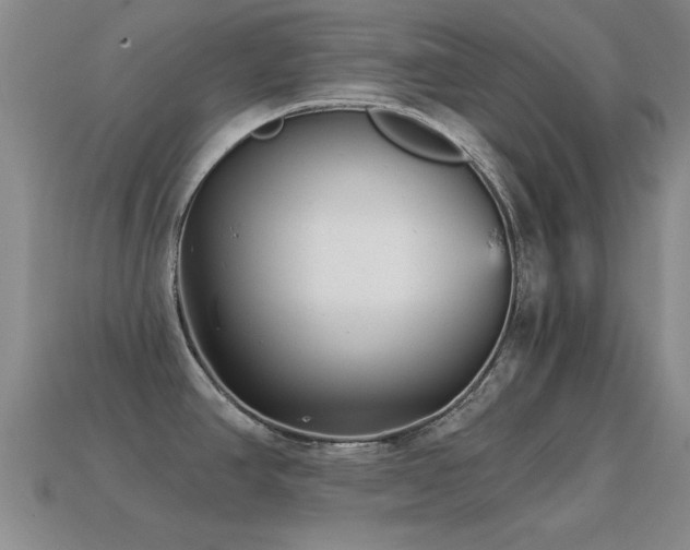 X0000114691390200910211303
