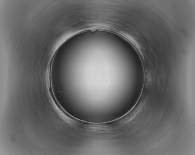 X0000114691391200910211303