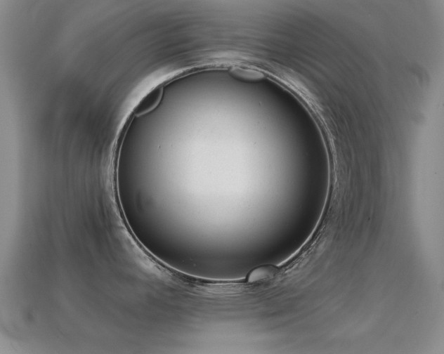 X0000114691392200910211303