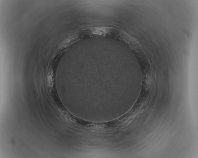 X0000114691394200910211303