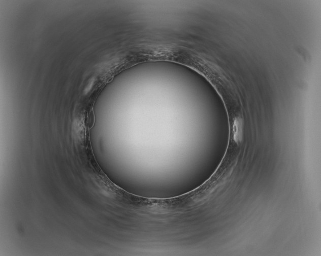 X0000114691395200910211303
