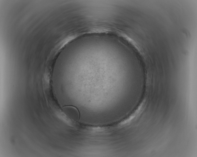 X0000114691401200910211303