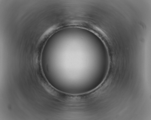 X0000114691403200910211303