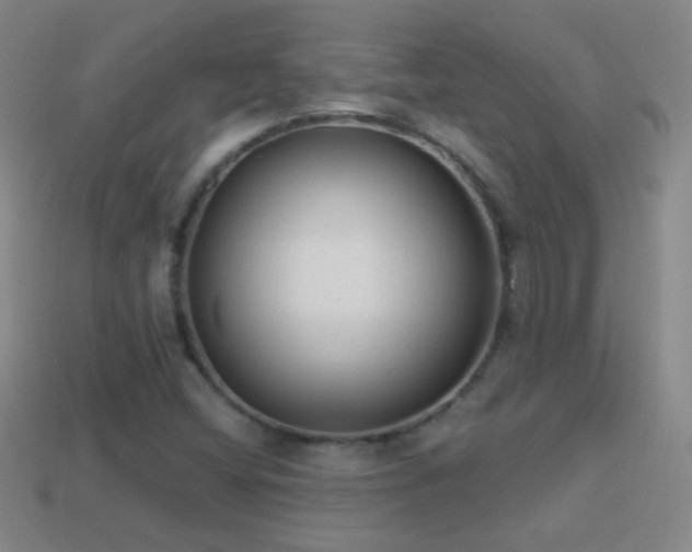 X0000114691404200910211303