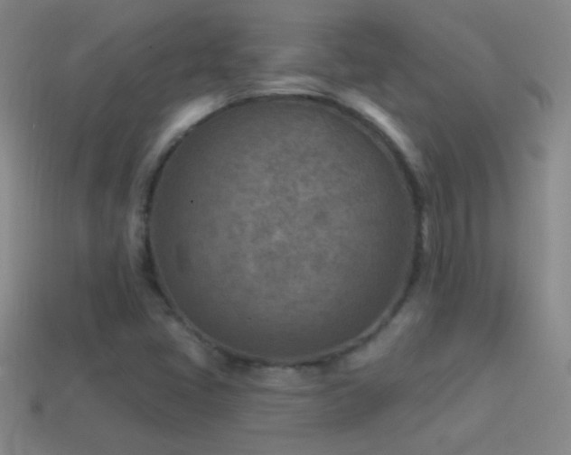 X0000114691405200910211303