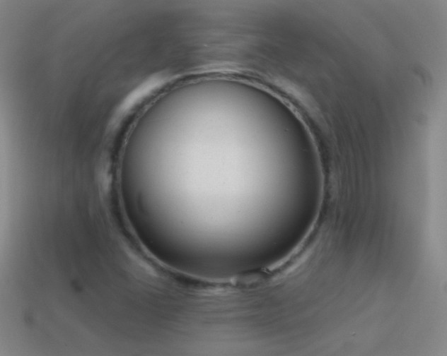 X0000114691406200910211303