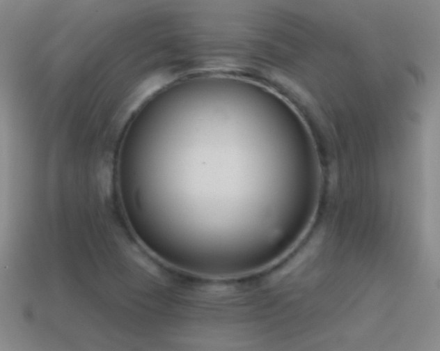 X0000114691409200910211303