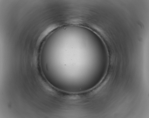 X0000114691410200910211303