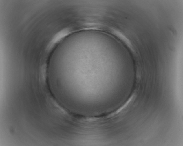 X0000114691411200910211303