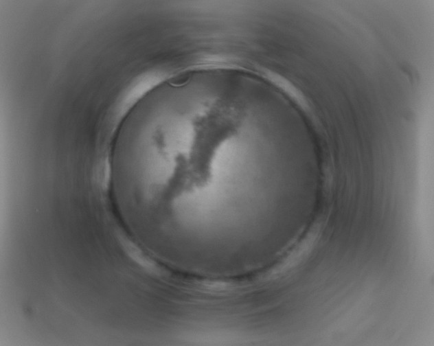 X0000114691413200910211303