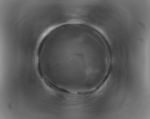 X0000114691414200910211303