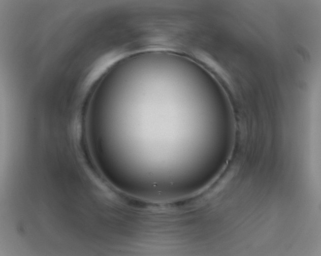 X0000114691415200910211303