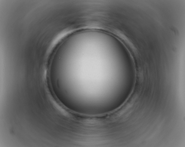 X0000114691416200910211303