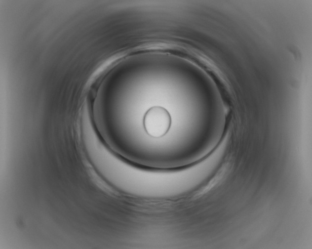 X0000114691417200910211303