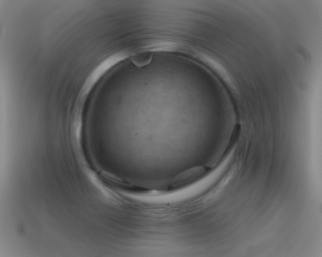 X0000114691418200910211303