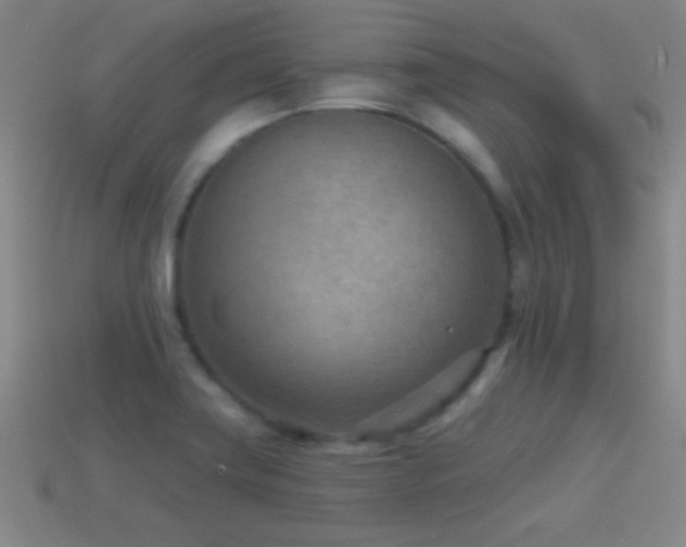 X0000114691419200910211303