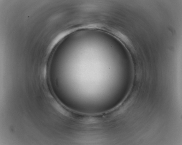 X0000114691420200910211303