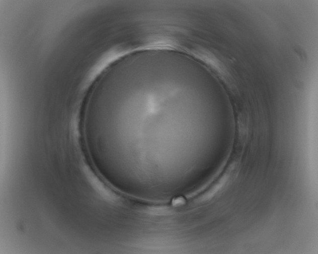 X0000114691422200910211303