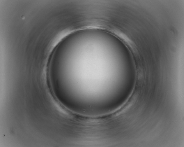 X0000114691423200910211303