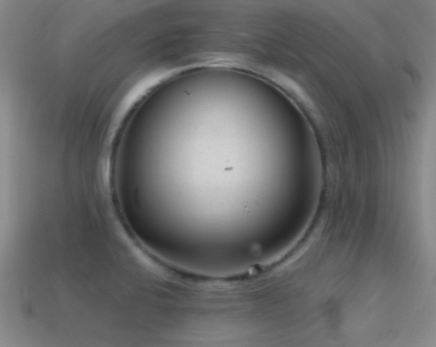 X0000114691424200910211303