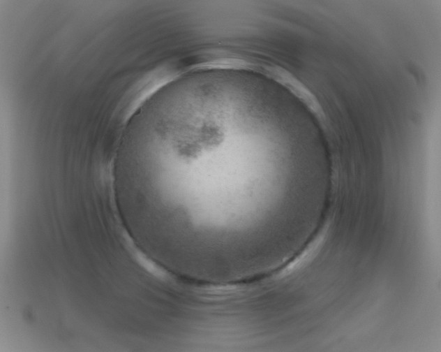 X0000114691425200910211303