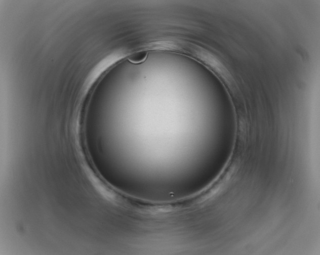 X0000114691426200910211303