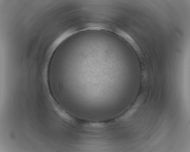X0000114691427200910211303