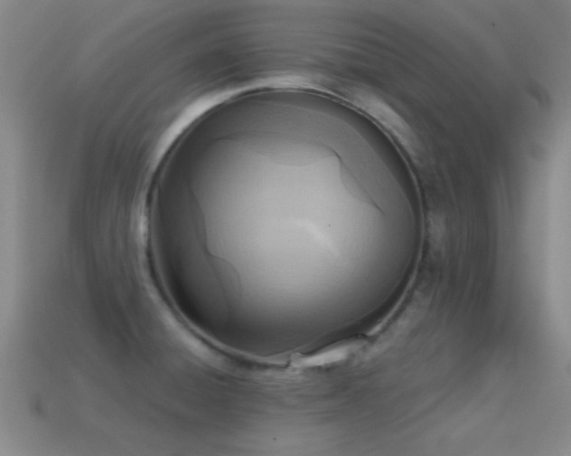 X0000114691428200910211303