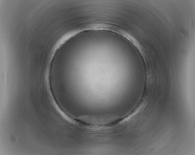 X0000114691429200910211303