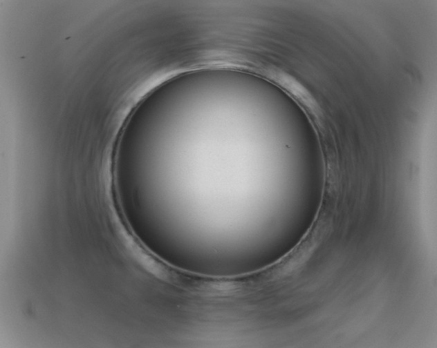X0000114691431200910211303