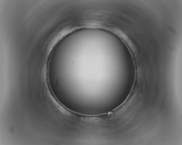 X0000114691432200910211303
