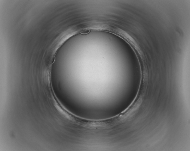 X0000114691433200910211303