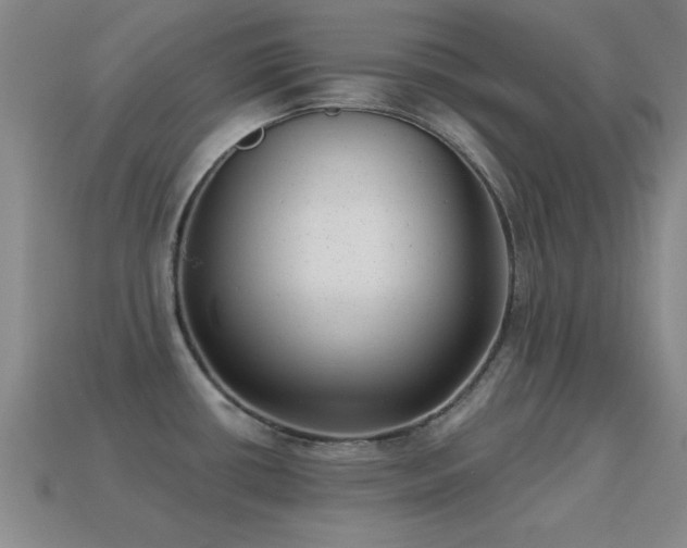 X0000114691434200910211303