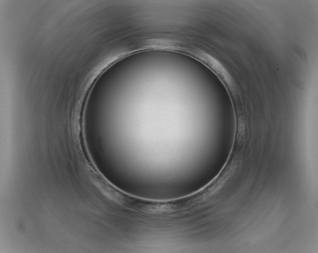 X0000114691435200910211303