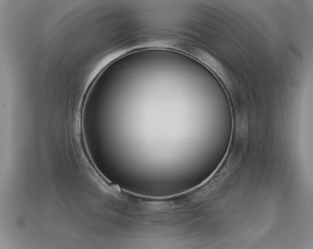 X0000114691436200910211303