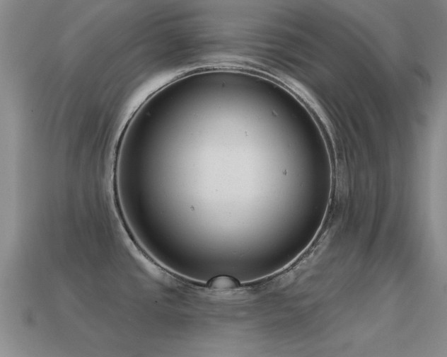 X0000114691437200910211303
