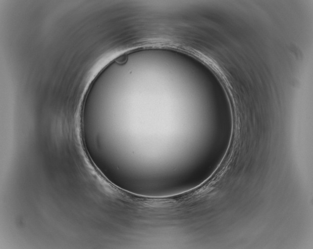 X0000114691440200910211303