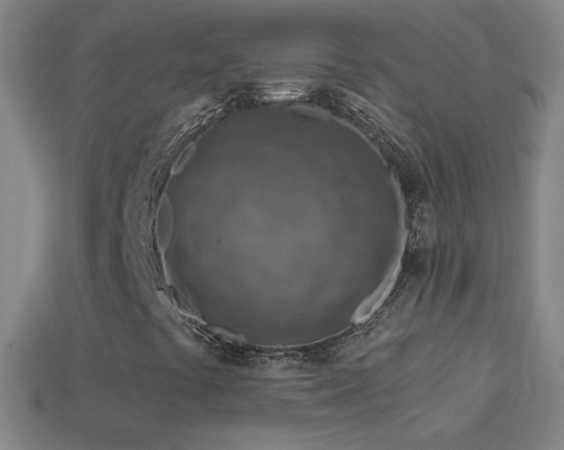 X0000114691441200910211303