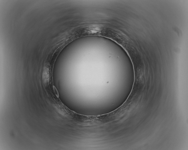 X0000114691442200910211303