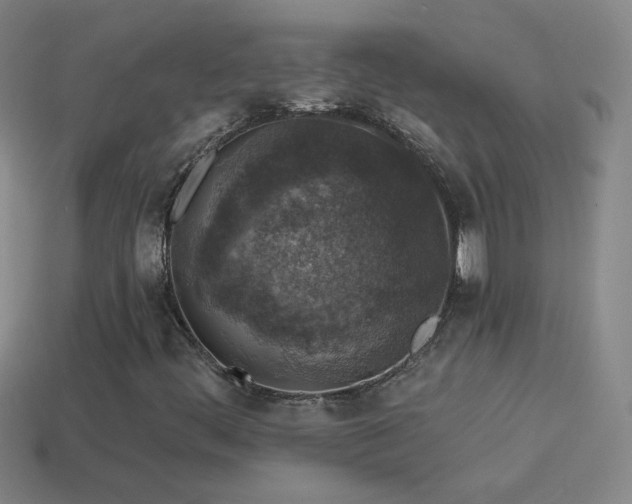 X0000114691444200910211302