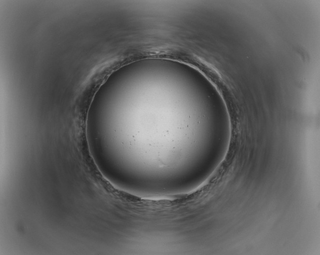 X0000114691447200910211302