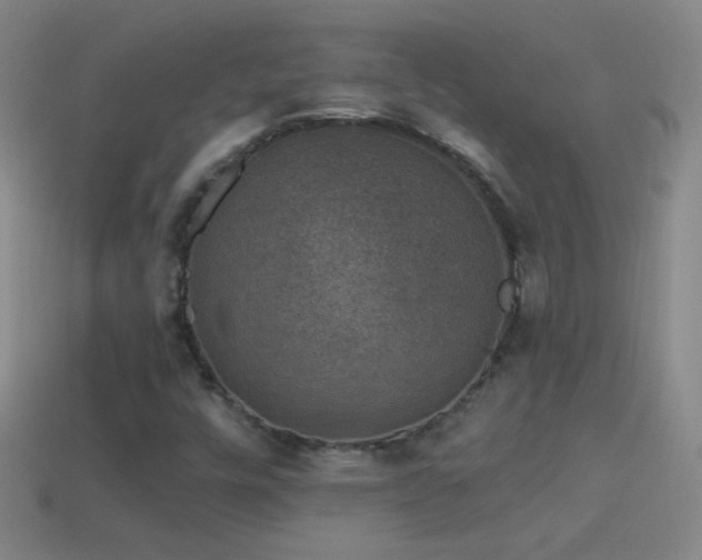X0000114691448200910211302