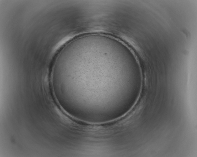 X0000114691452200910211302