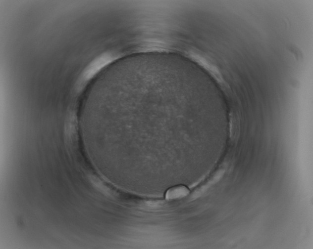 X0000114691453200910211302