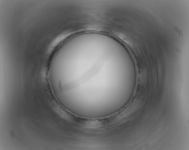 X0000114691454200910211302