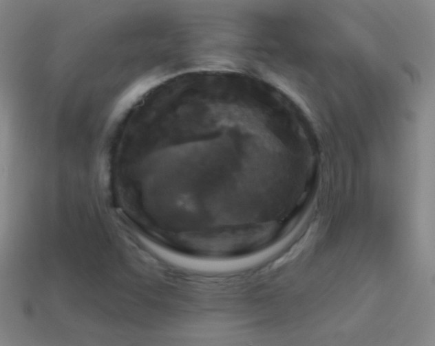 X0000114691455200910211302