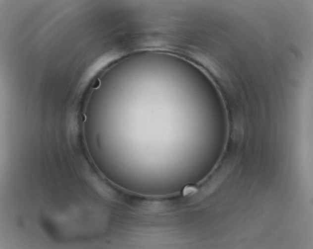 X0000114691458200910211302